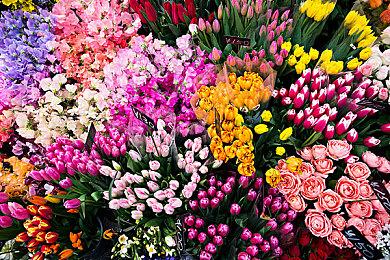 开放世界冒险《Tchia》IGN预览视频 推荐RTX 2060显卡